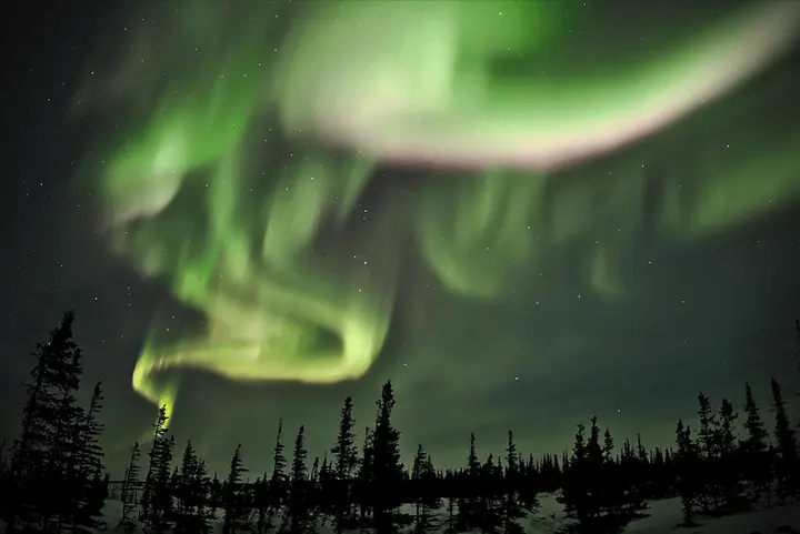 Northern lights glowing green in the night sky